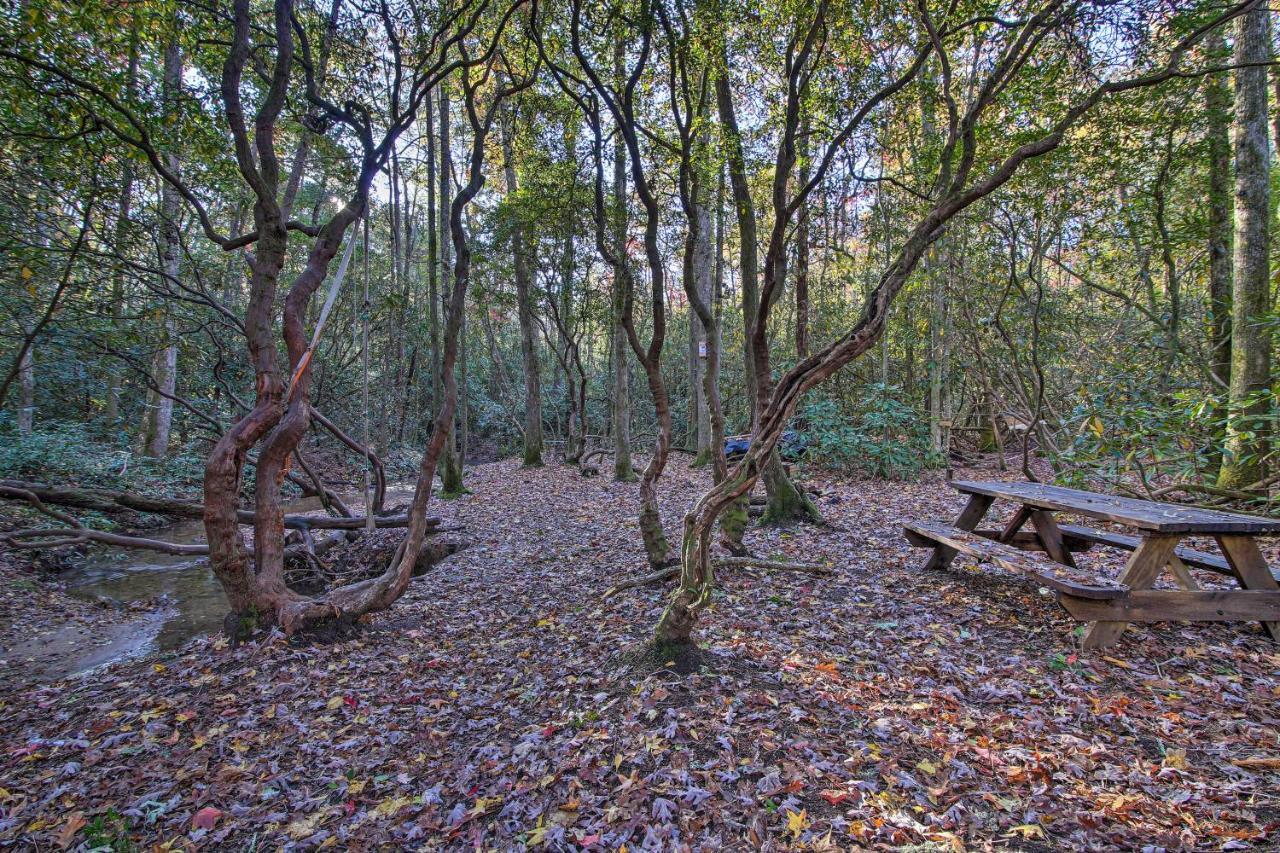 Willa 5-Acre North Georgia Mountain Retreat With Creek! Sautee Nacoochee Zewnętrze zdjęcie
